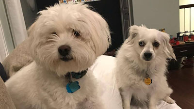 miley and koda
